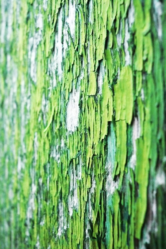 Green Old Paint